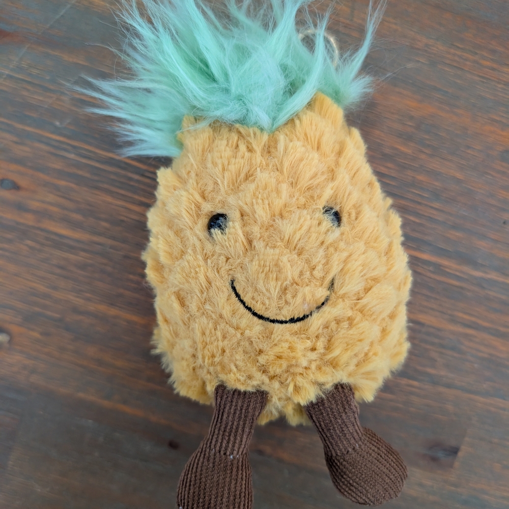 Plush Pineapple Key Holder